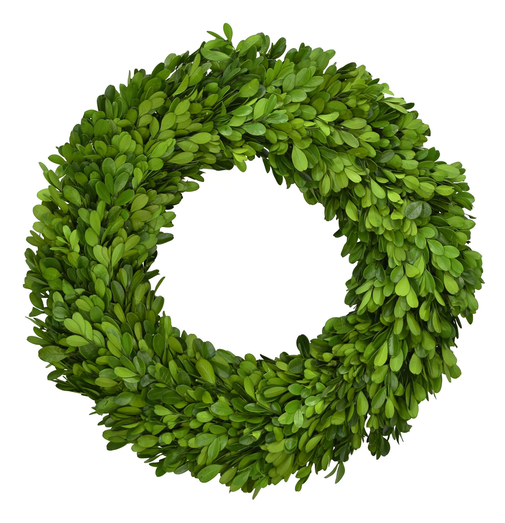 Preserved Boxwood Country Manor Wreath - Round - 14