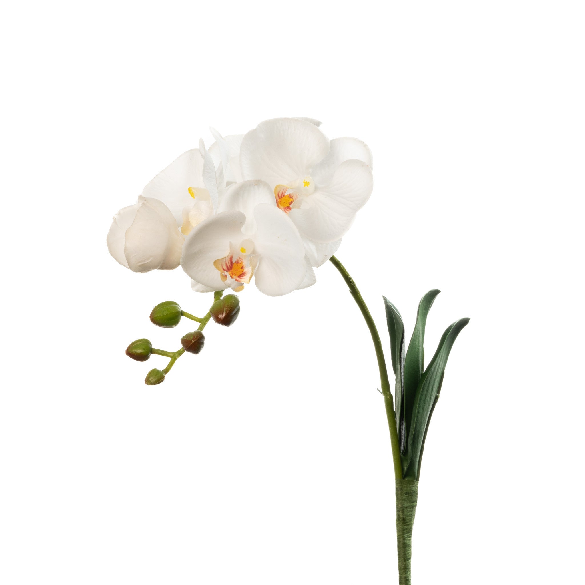 Real Touch Phalaenopsis Orchid White With Leaves- 15 Inch