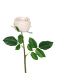 Real Touch Garden Rose - Champagne 17 Inch