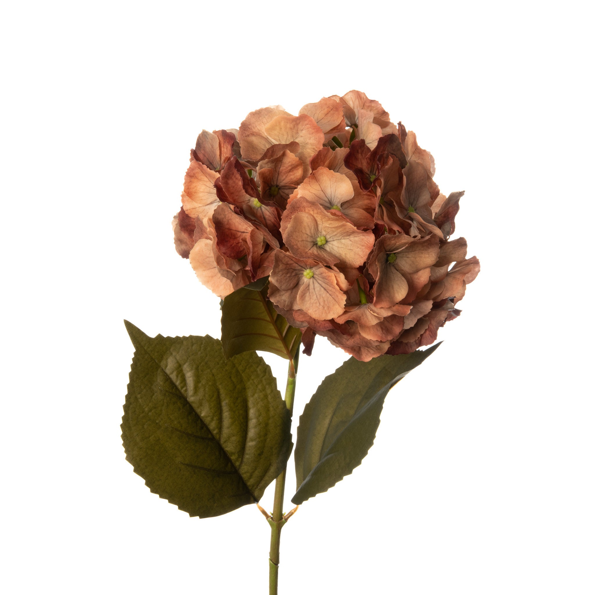 Real Touch Hydrangea 29 Inch Gold Honey