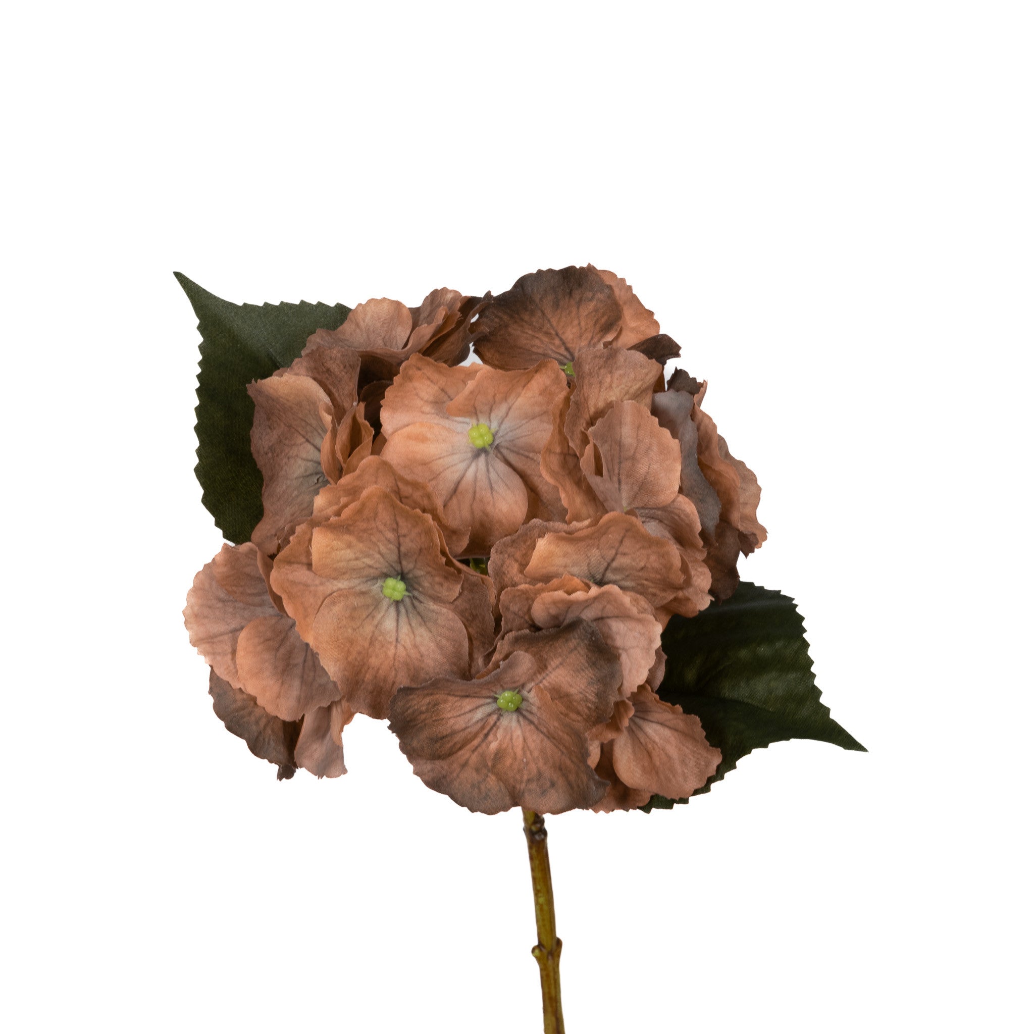 Real Touch Hydrangea - Gold Honey - 14 Inch
