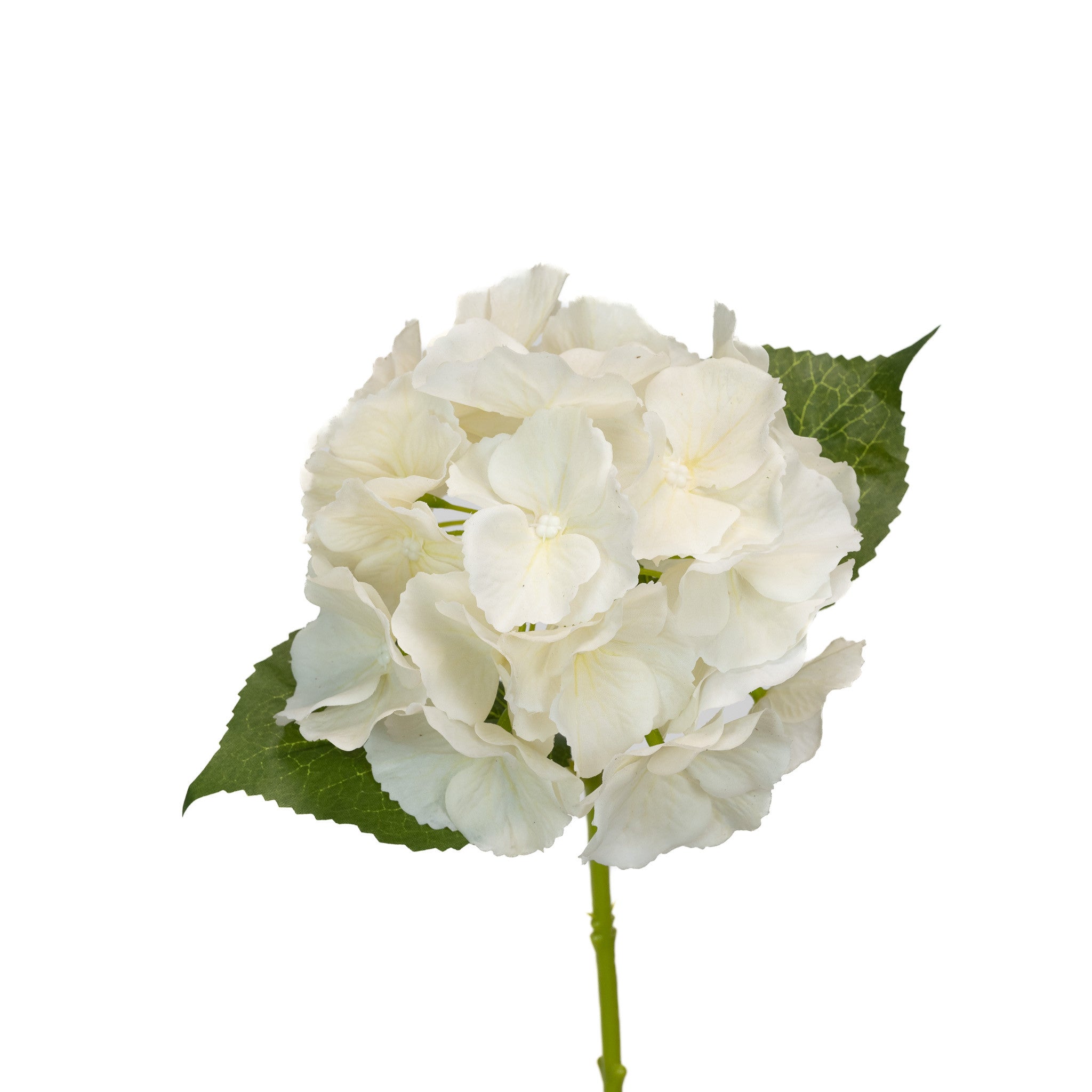 Real Touch Hydrangea - Ivory - 14 Inch