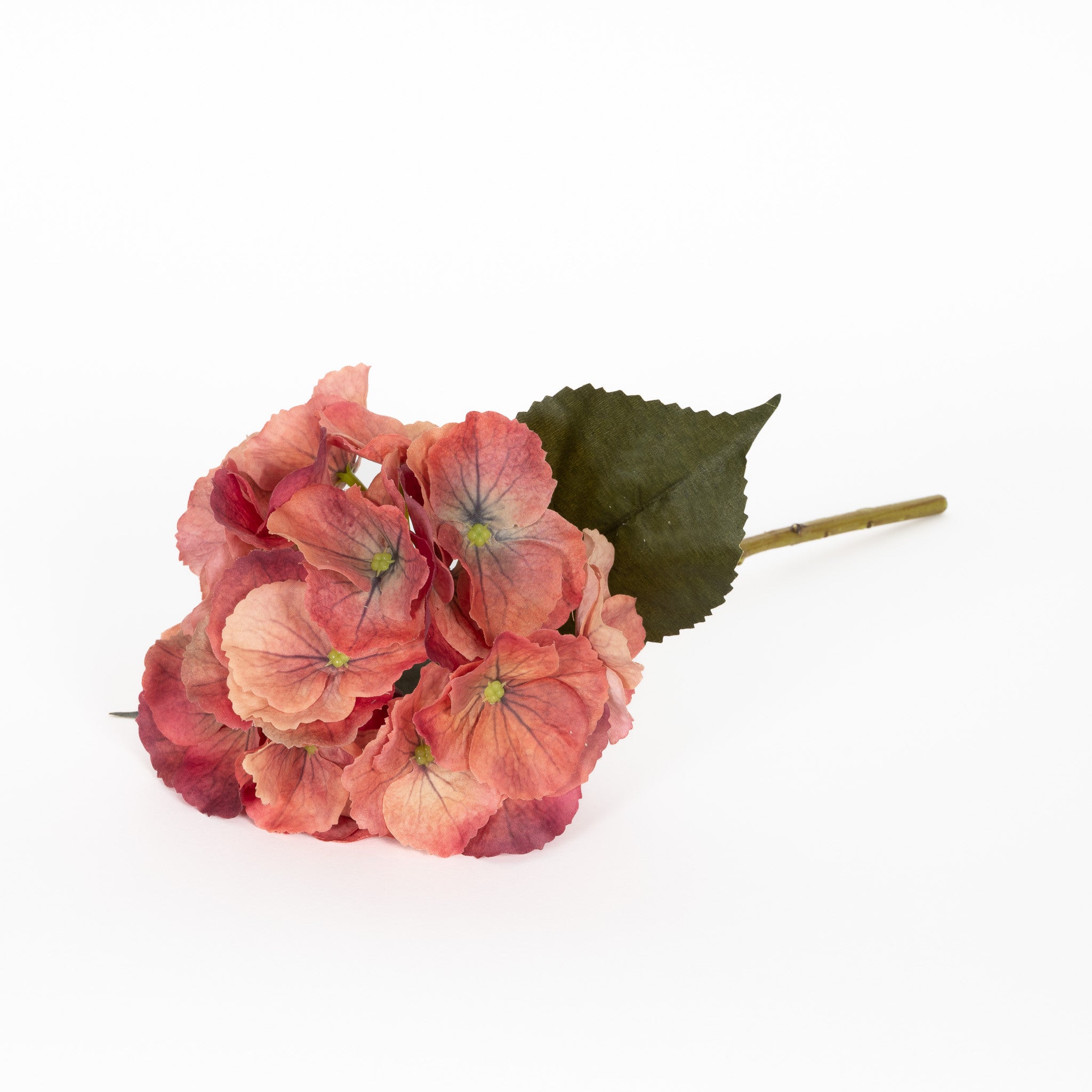 Real Touch Hydrangea - Terra Cotta - 14 Inch