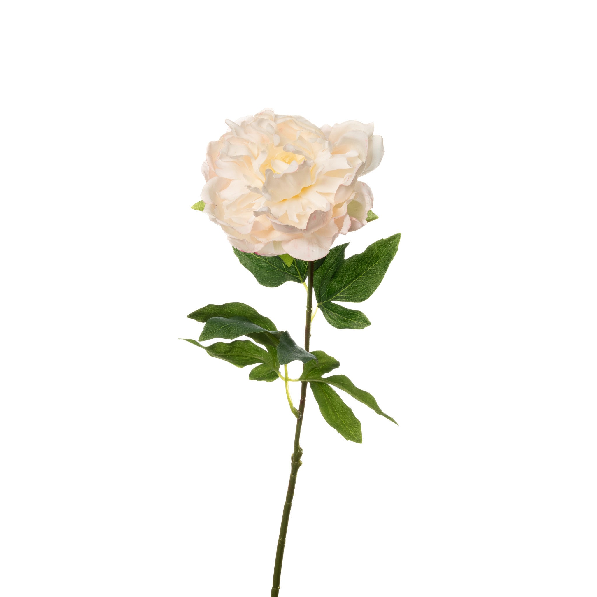 Real Touch Peony Stem - White Blush - 23 Inch