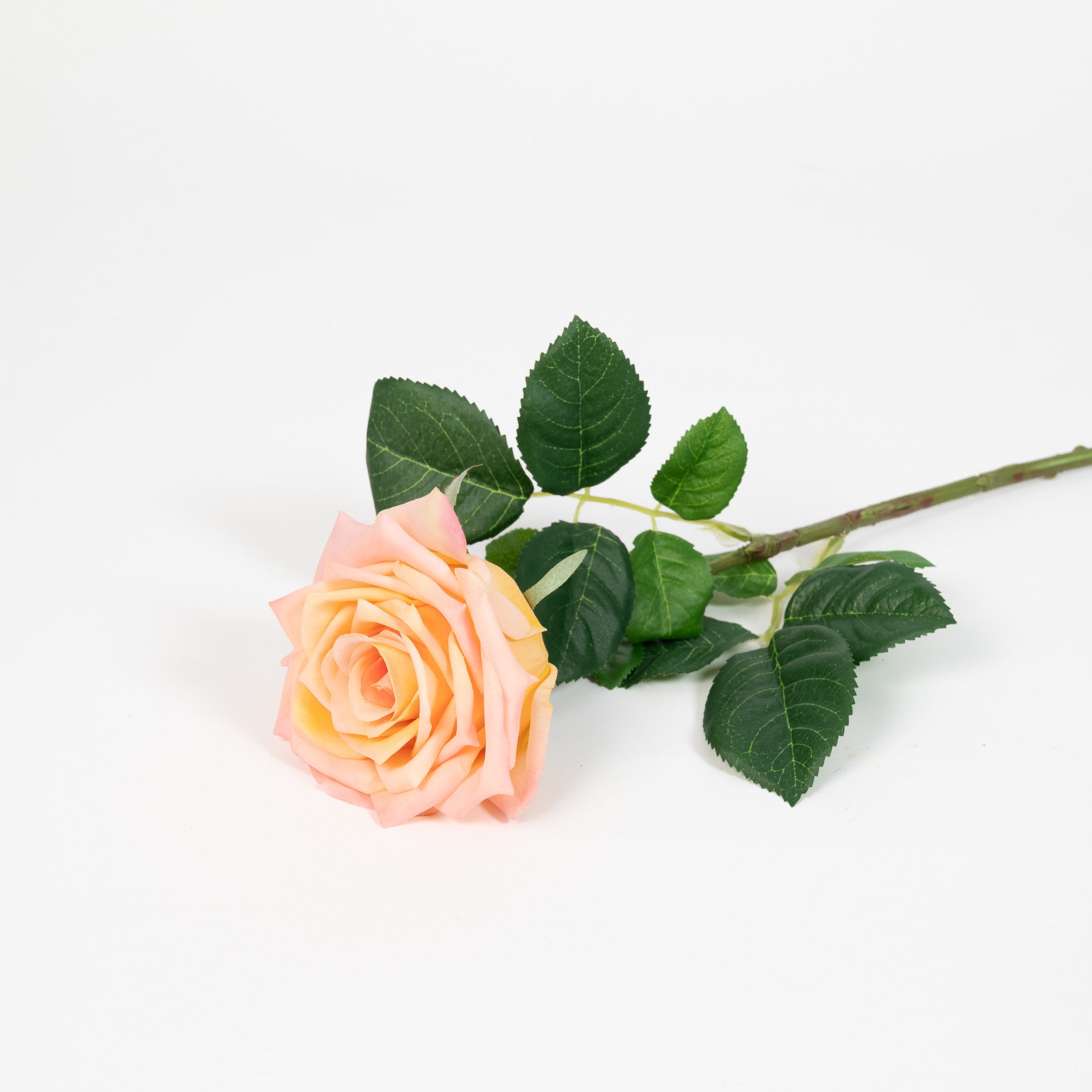 Real Touch Vintage Rose - Peach Blush - 24 Inch