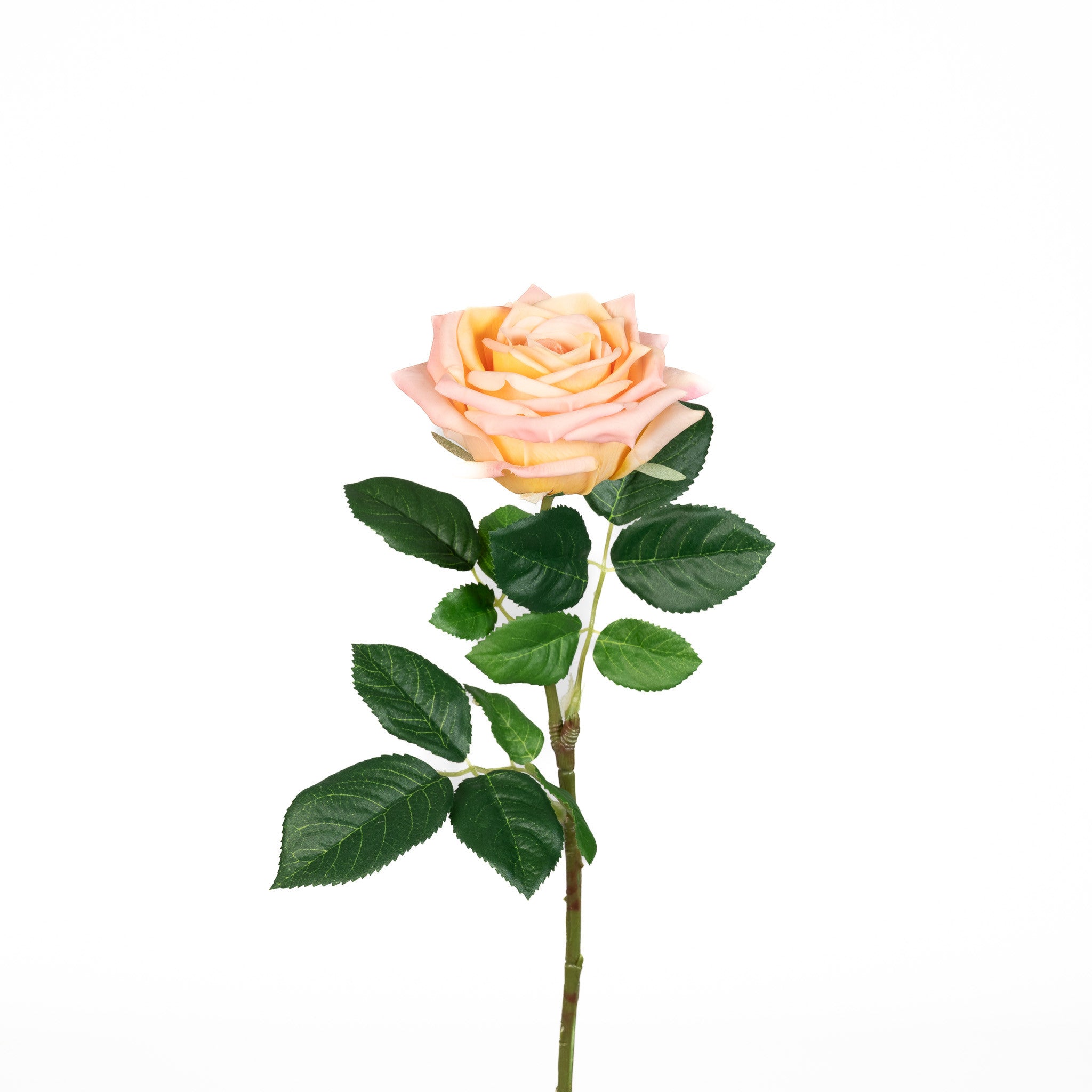 Real Touch Vintage Rose - Peach Blush - 24 Inch