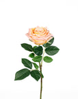 Real Touch Vintage Rose - Peach Blush - 24 Inch