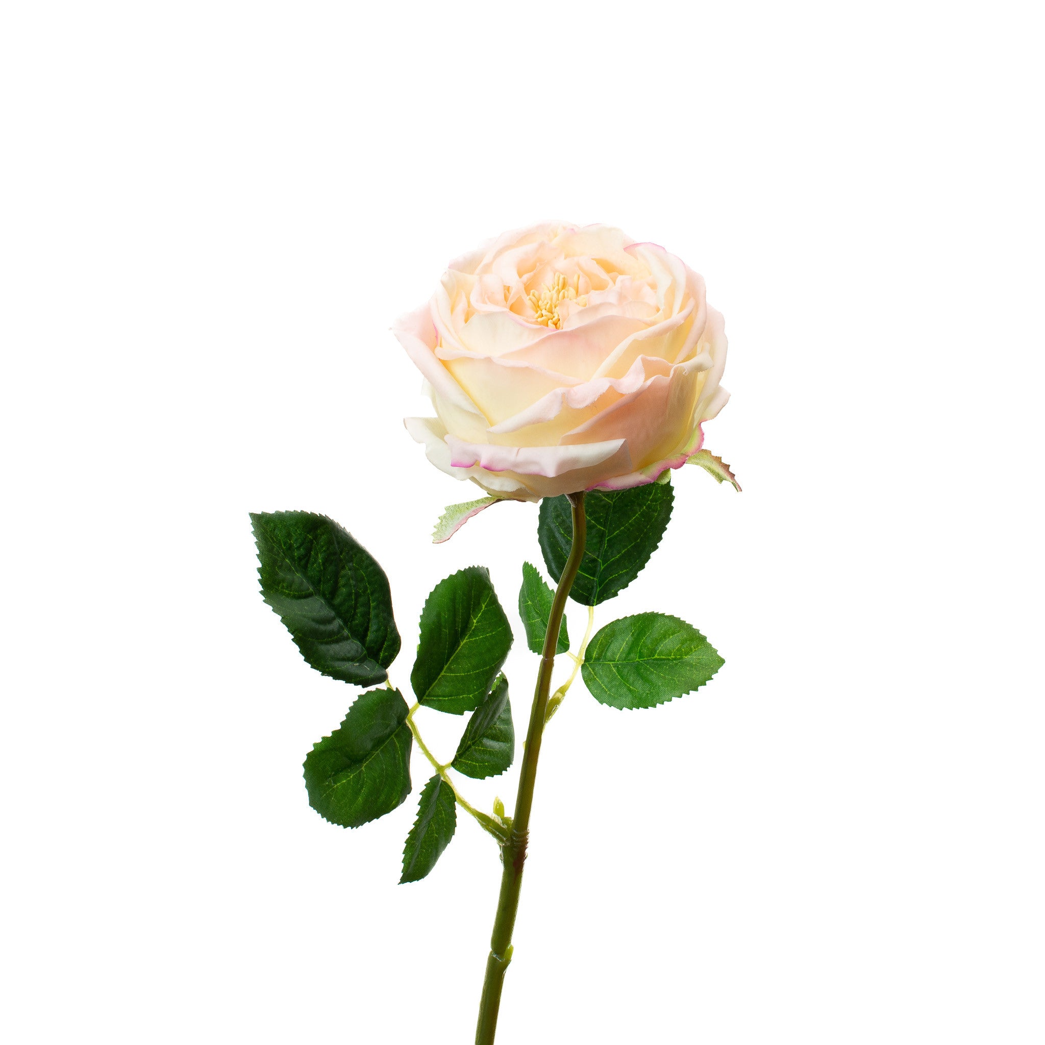 Real Touch Blush Pink English Rose 17 Inch