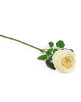 Real Touch Champagne English Rose 17 Inch