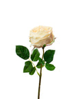 Real Touch Dark Champagne English Rose 17 Inch