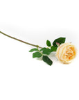 Real Touch Dark Champagne English Rose 17 Inch