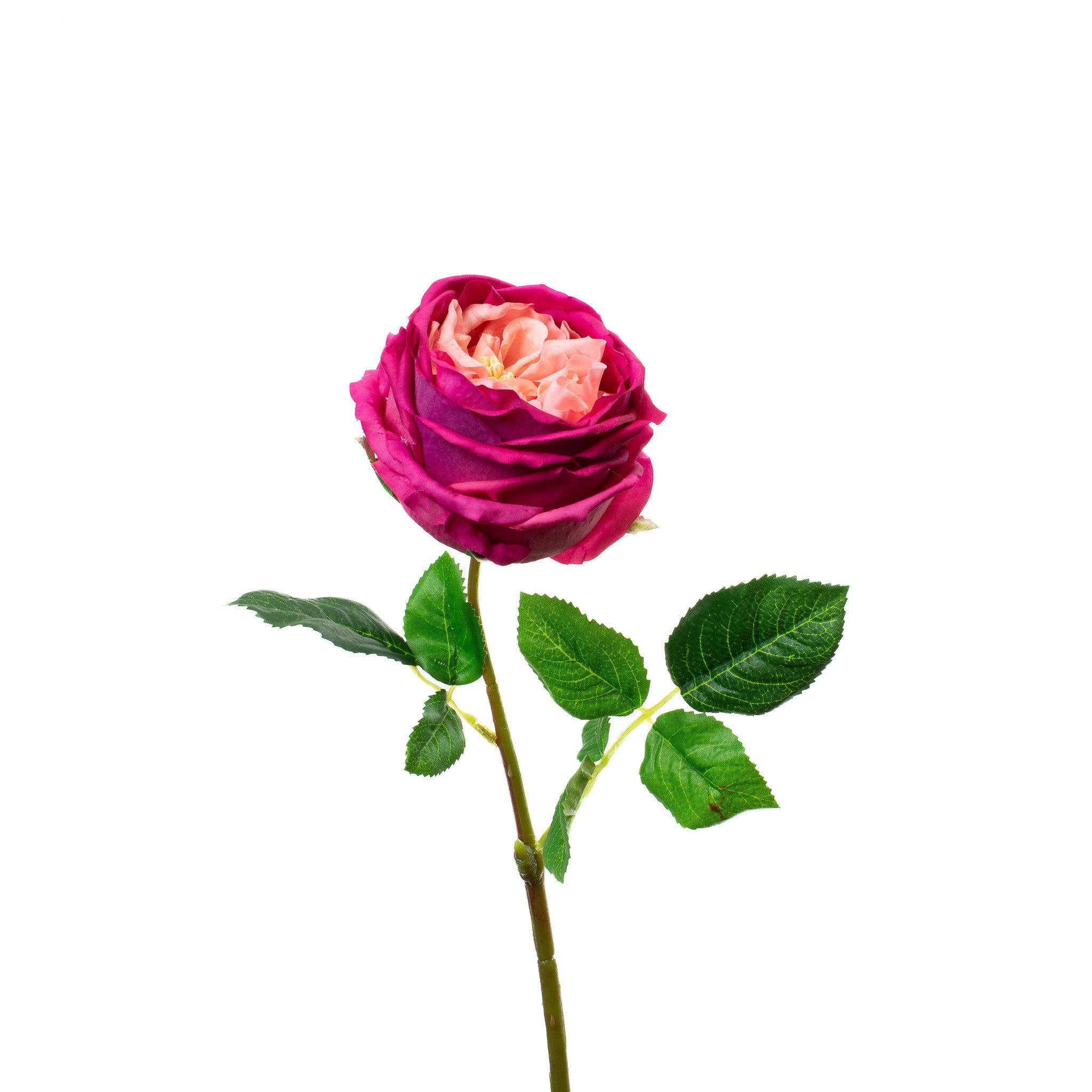 Real Touch Fuchsia English Rose 17 Inch