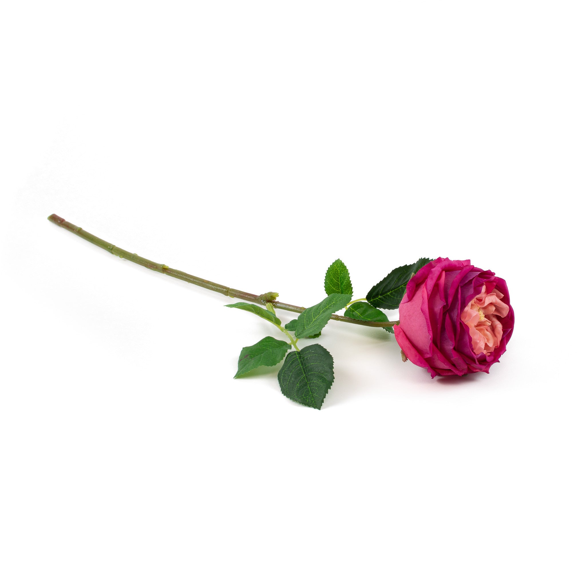 Real Touch Fuchsia English Rose 17 Inch