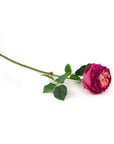 Real Touch Fuchsia English Rose 17 Inch