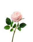 Real Touch Pink English Rose 17 Inch