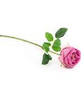 Real Touch Mauve English Rose 17 Inch