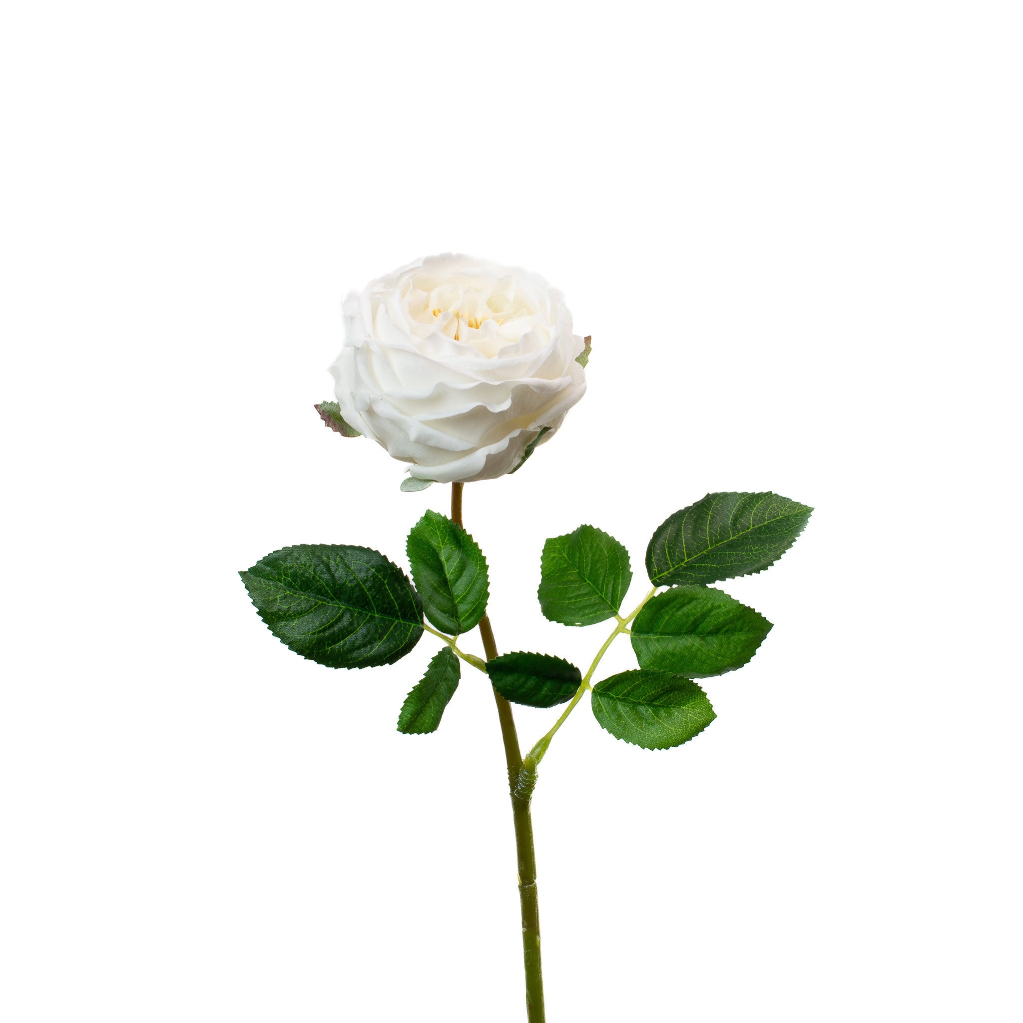Real Touch White English Rose 17 Inch