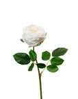 Real Touch White English Rose 17 Inch