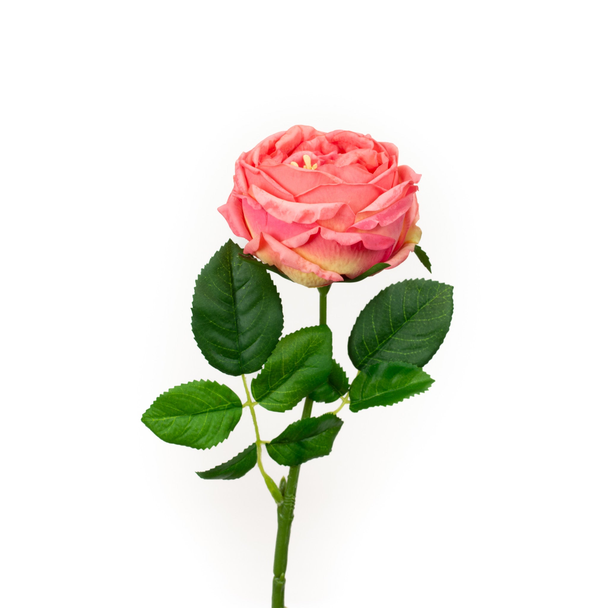 Real Touch Pink Sunset English Rose 17 Inch