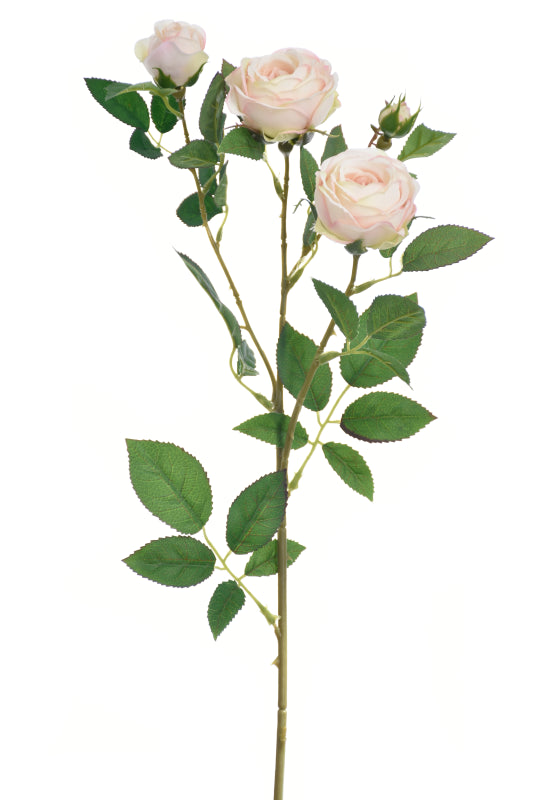 English Rose Spray