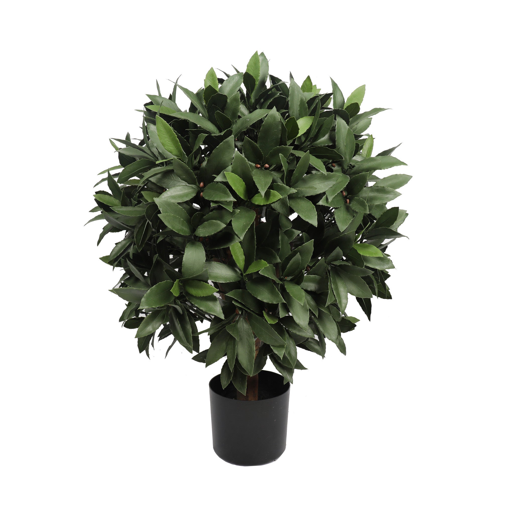 UV Bay Laurel Ball Topiary - 30 Inc