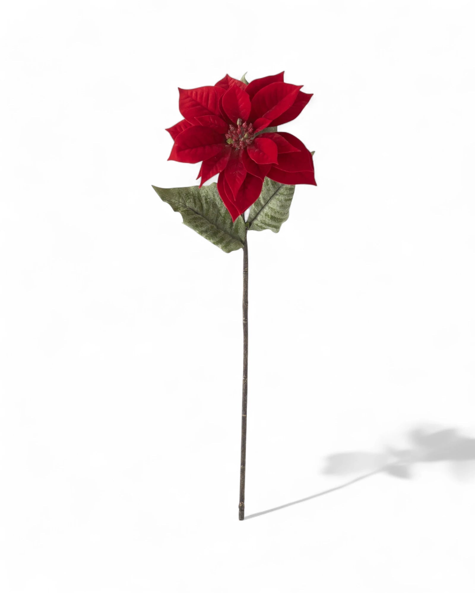 29 Inch Red Poinsettia Stem