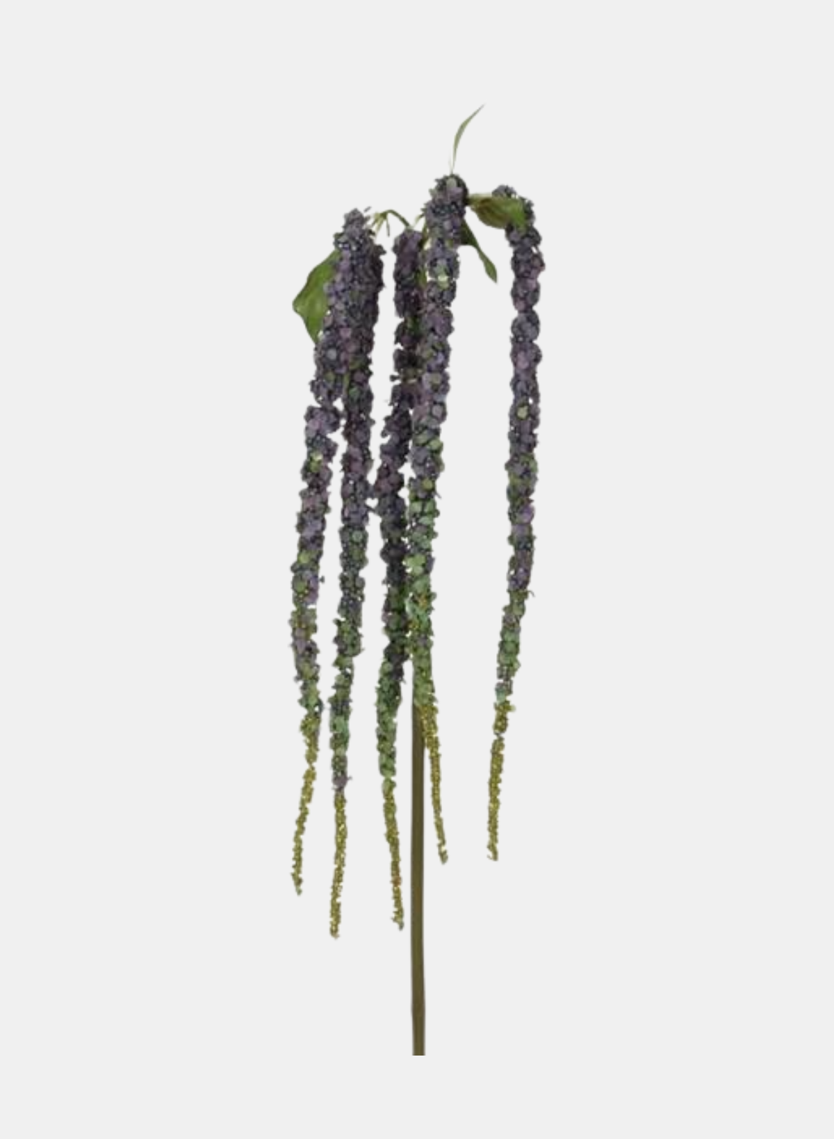 38"L AMARANTHUS SPRAY PURPLE