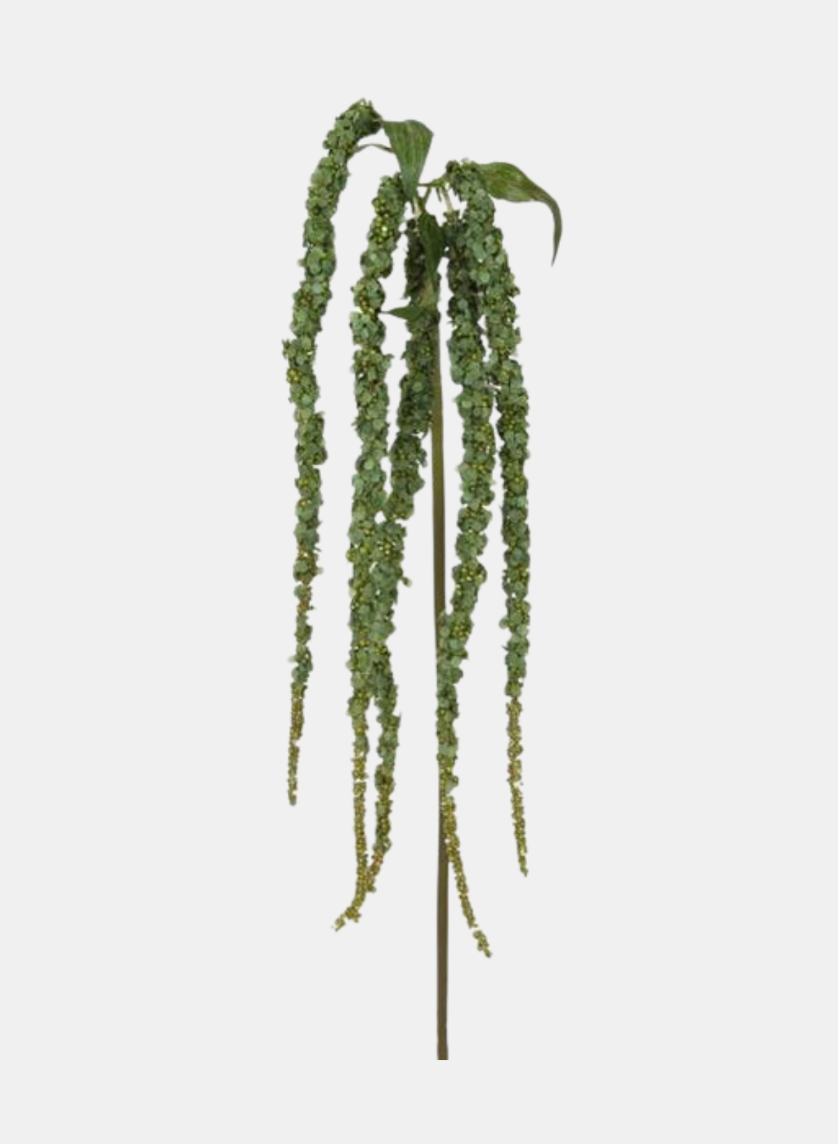 38"L AMARANTHUS SPRAY SAGE GREEN