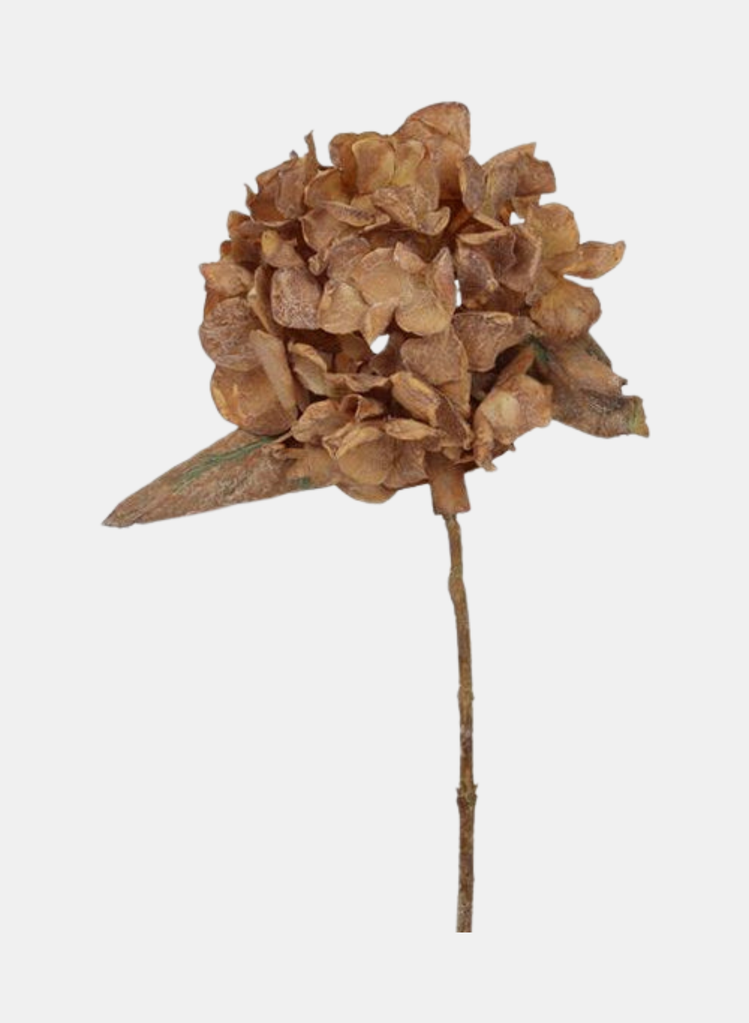13"L DRIED LOOK HYDRANGEA SPRAY YELLOW/RUST
