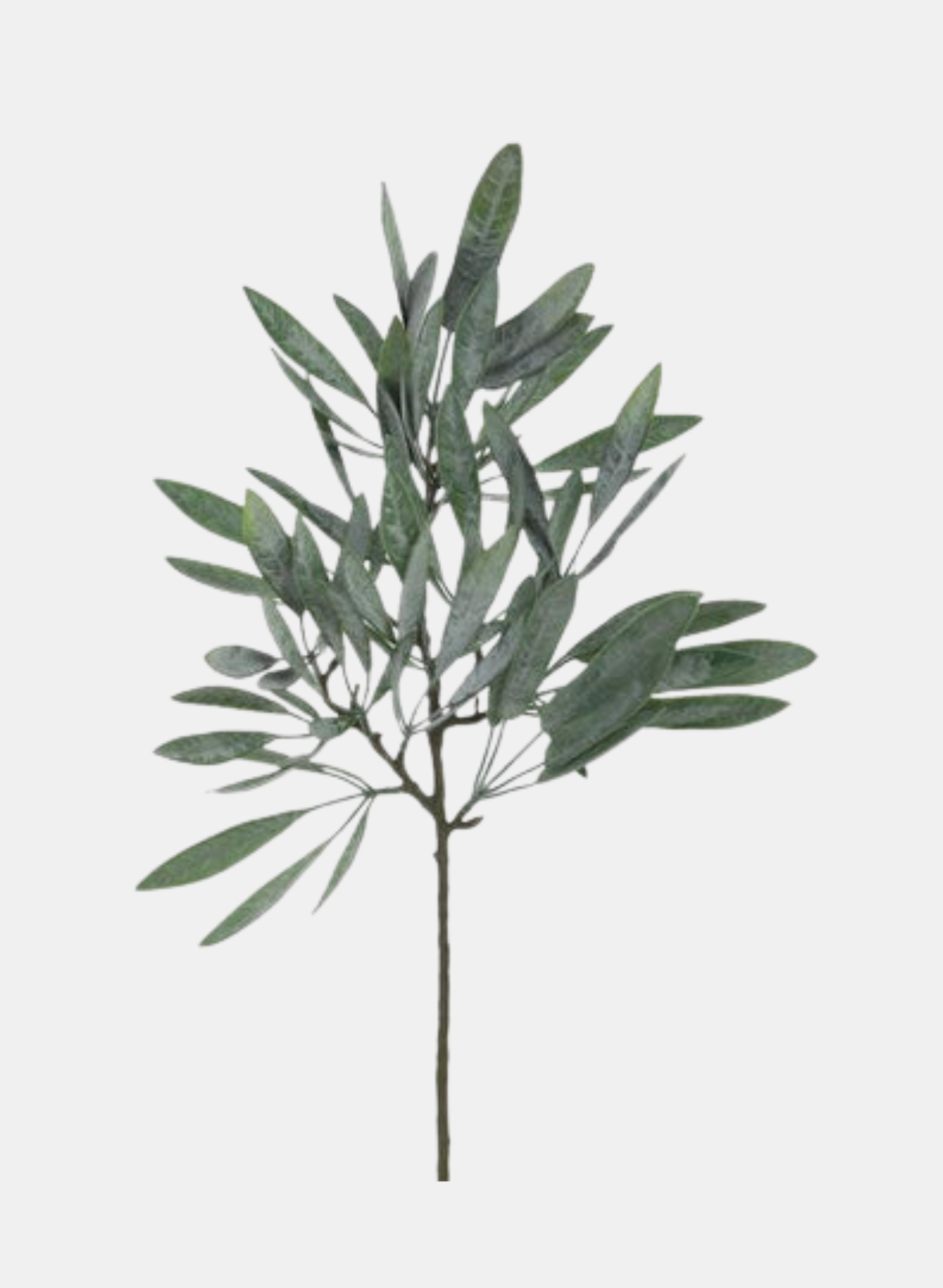 23"L EUCALYPTUS SPRAY GREY GREEN