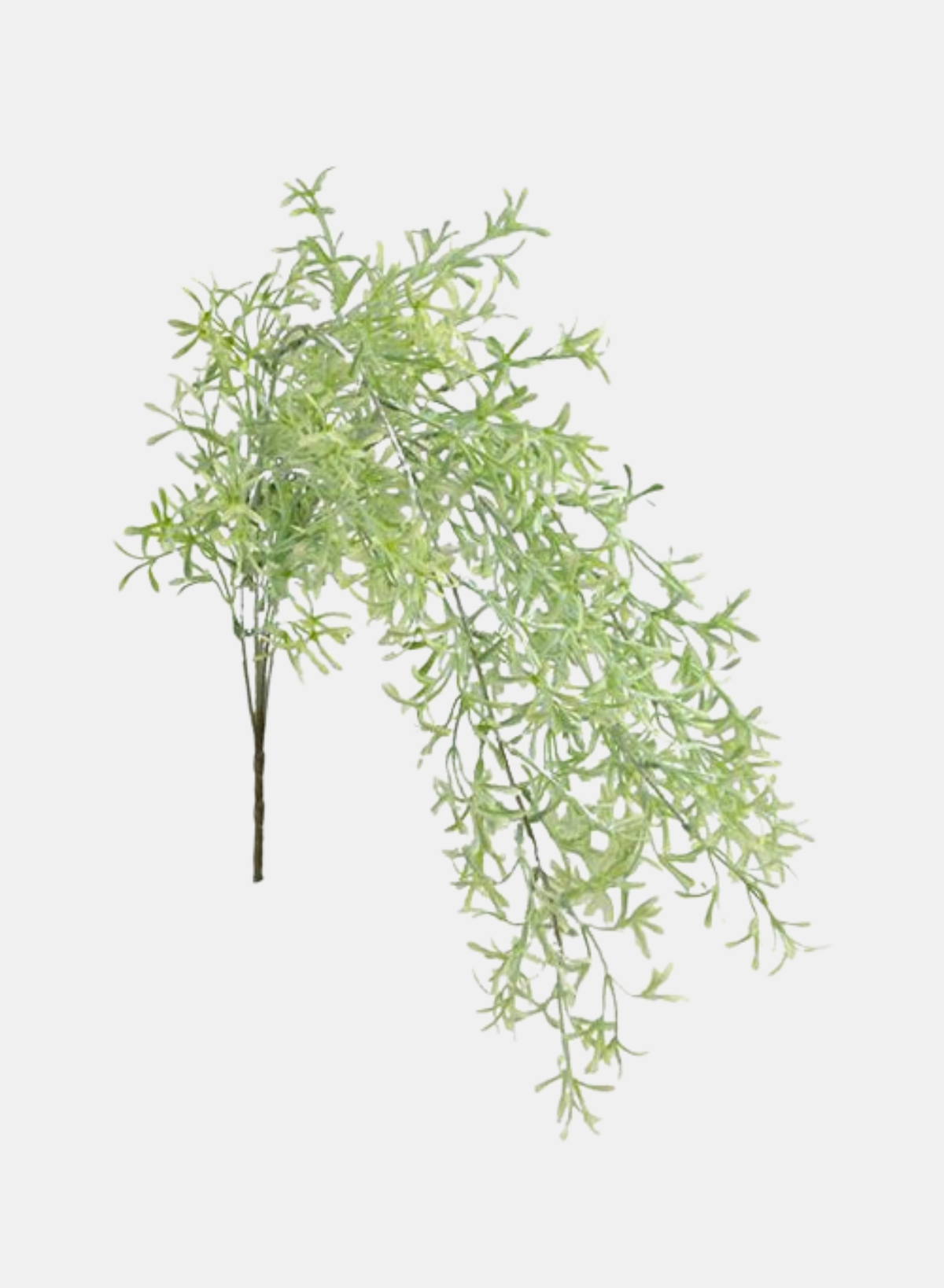 31"L TEA LEAF HANGING SPRAY GREY GREEN