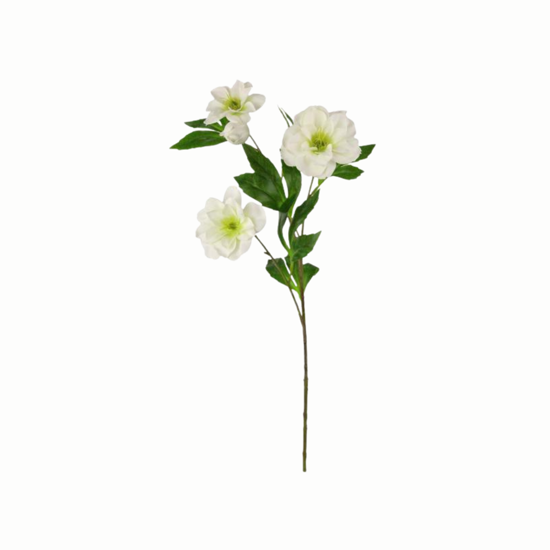 25.5"L LENTEN ROSE SPRAY WHITE/GREEN