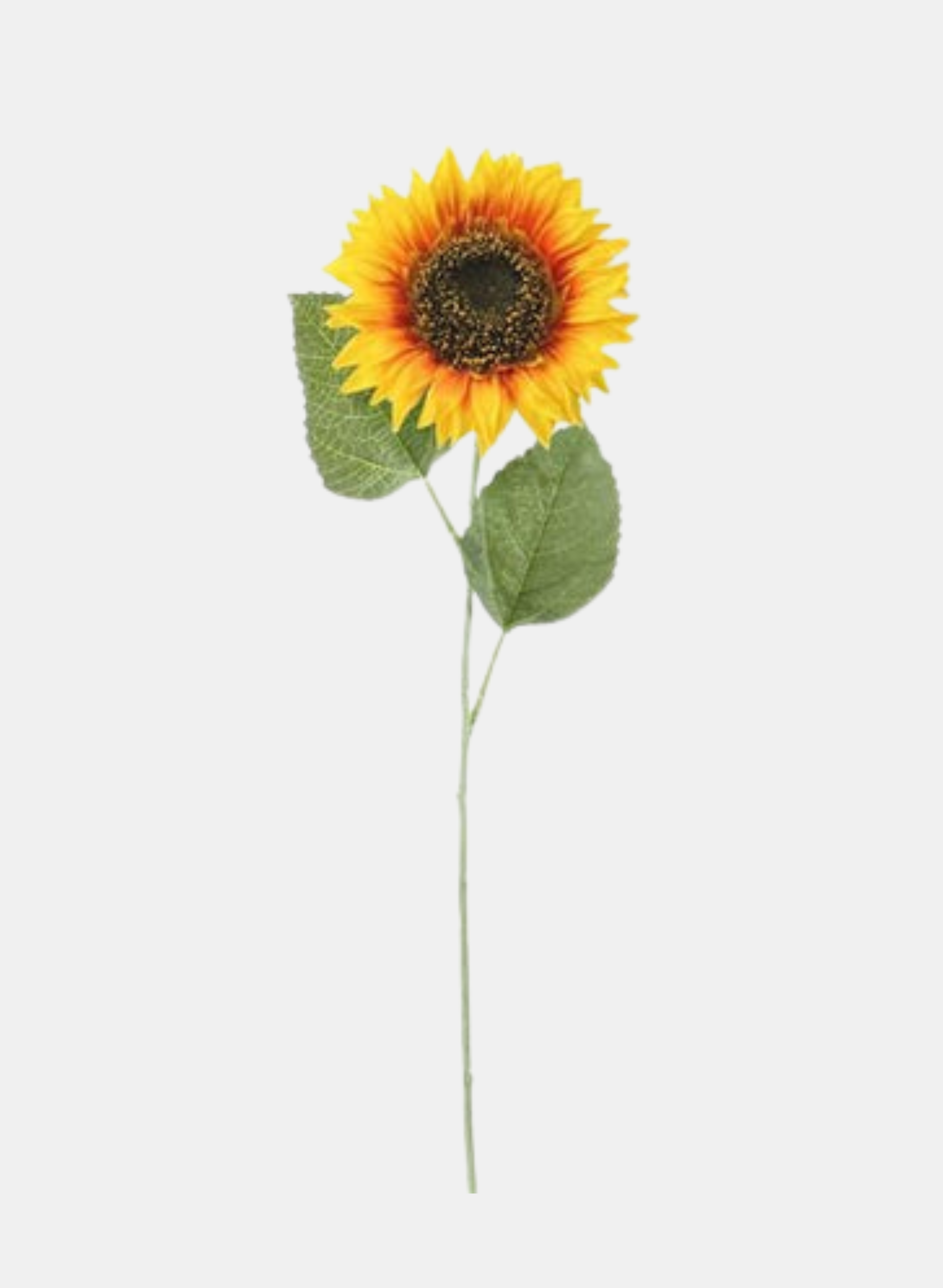 25"L X 4.25"DIA SUNFLOWER STEM YELLOW GOLD/DARK ORANGE