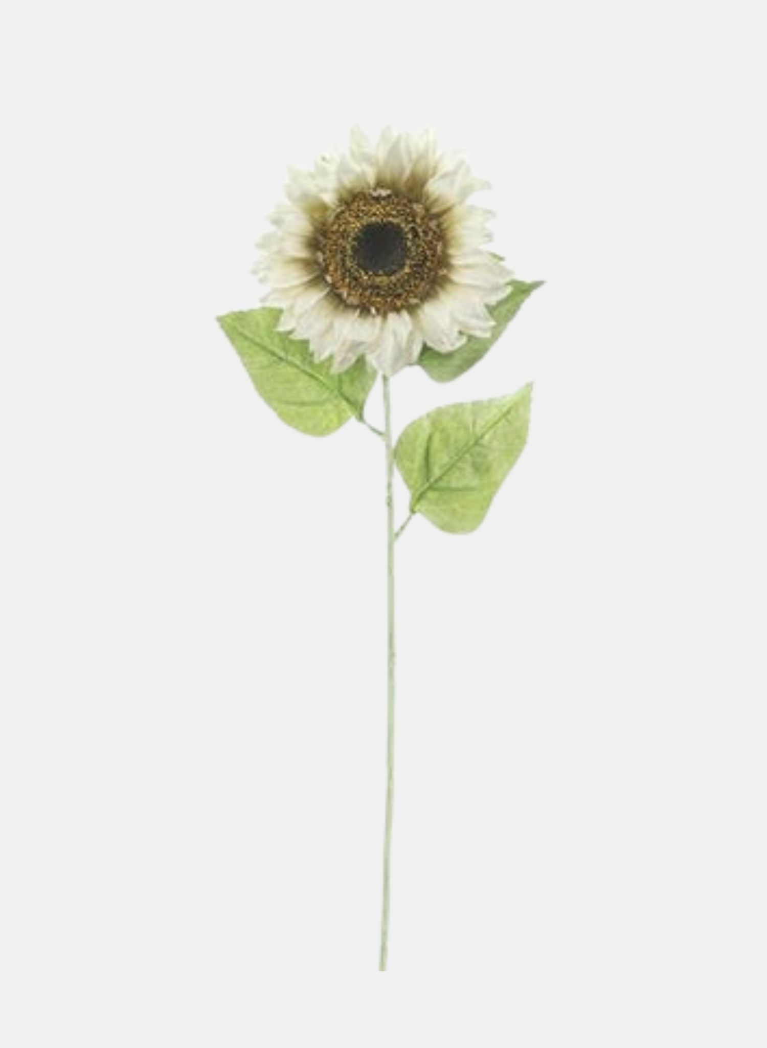 33"L X 6.5"DIA SUNFLOWER STEM IVORY/CREAM