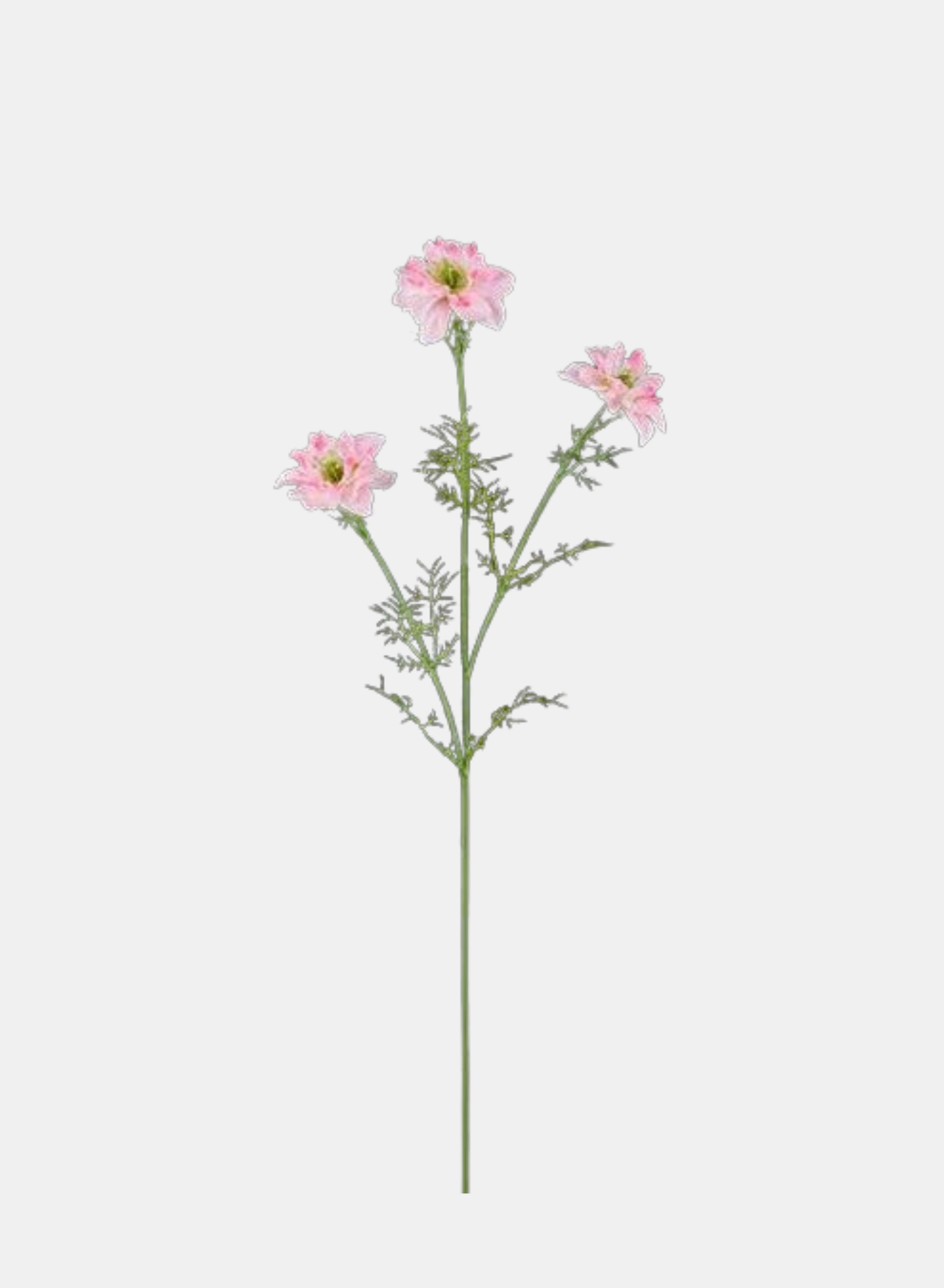 27"L COSMOS SPRAY X3 PINK