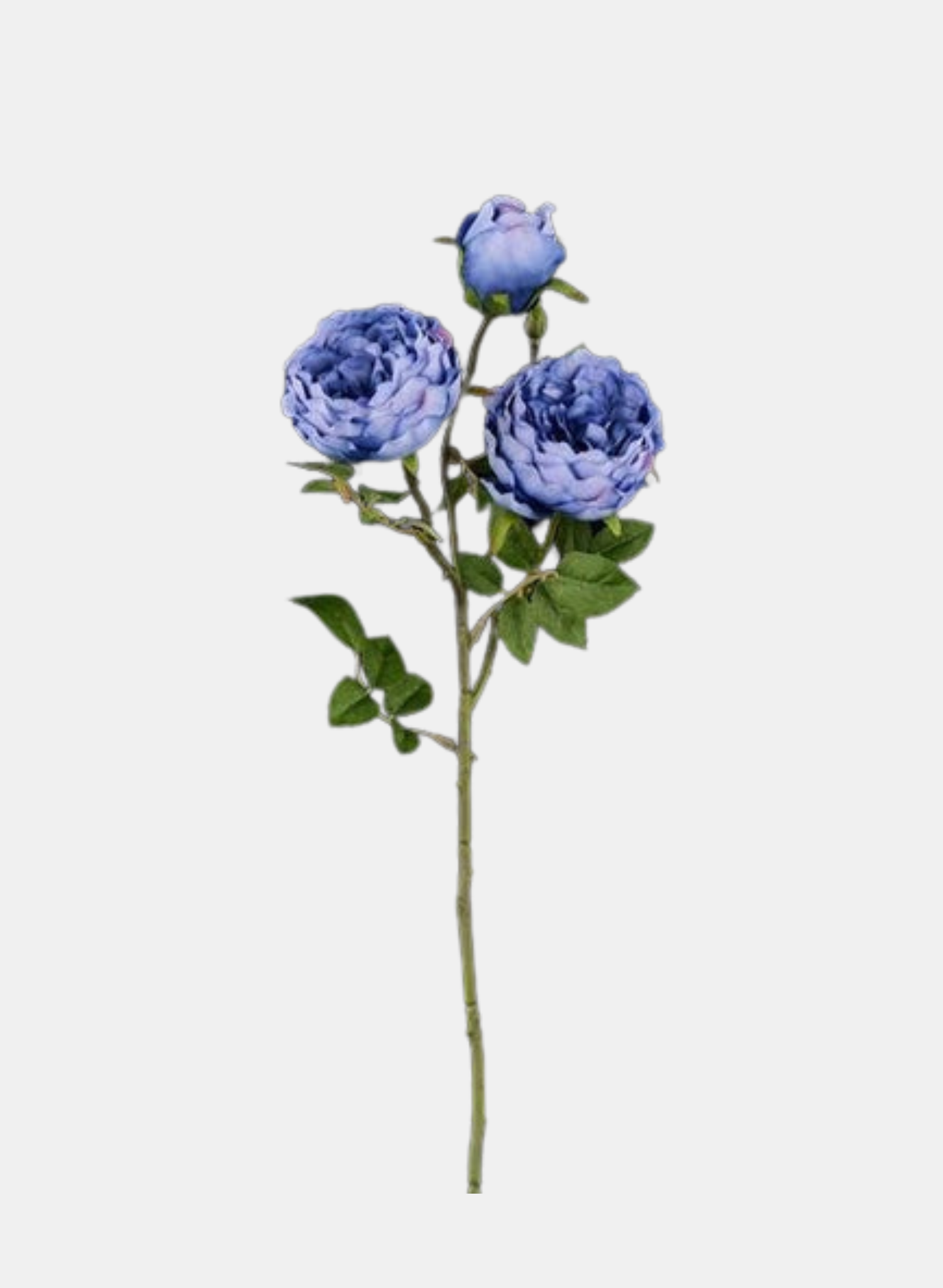 22"L CABBAGE ROSE SPRAY X3 BLUE