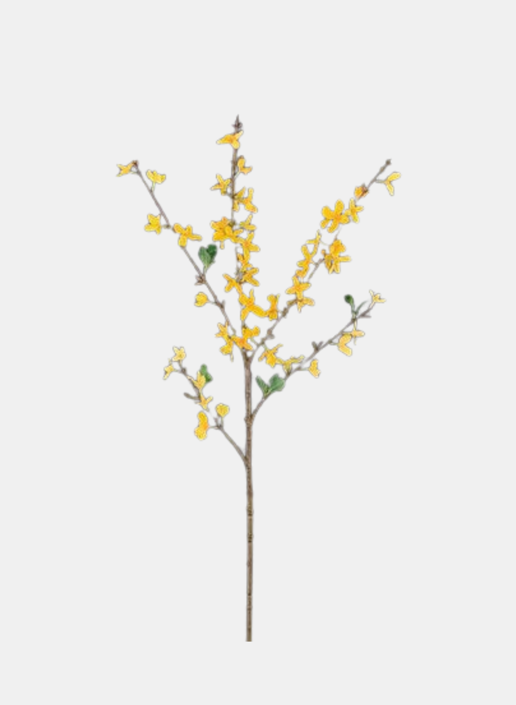 29"L FORSYTHIA SPRAY YELLOW