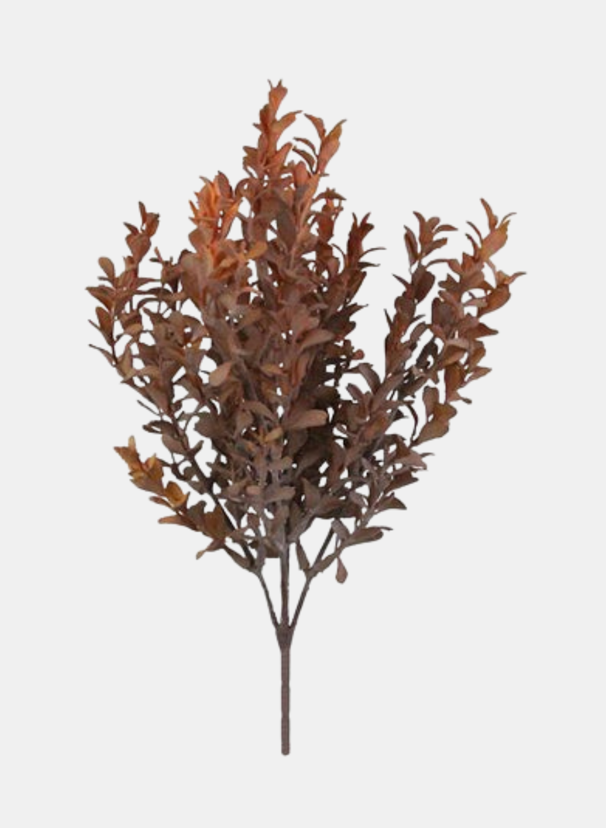 12.5"L BOXWOOD BUSH RUST/ORANGE