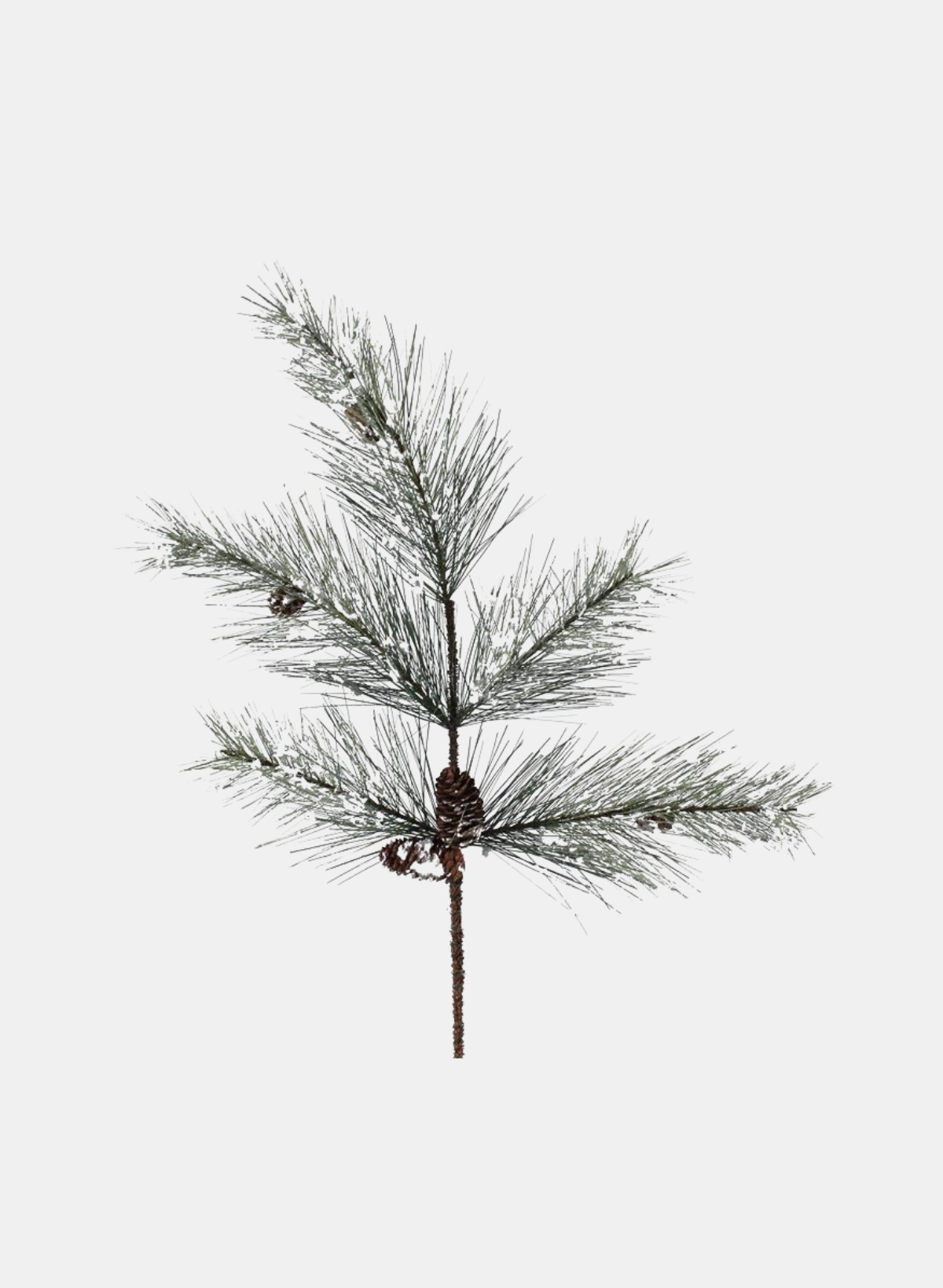 24" NORTHWOODS PINE FLOCKED SPRAY, TWO TONE GREE WITH PINE CONES, 5 TIPS