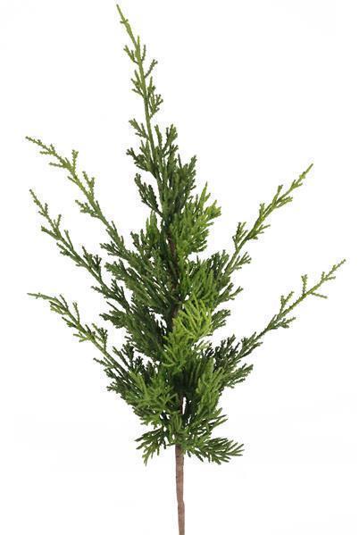 20.5"L ARBORVITAE SPRAY 2-TONE GREEN