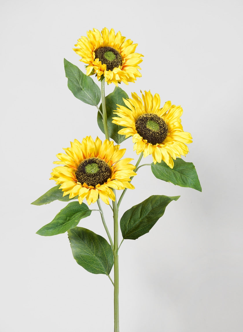 38 in Yellow Sunflower Stem