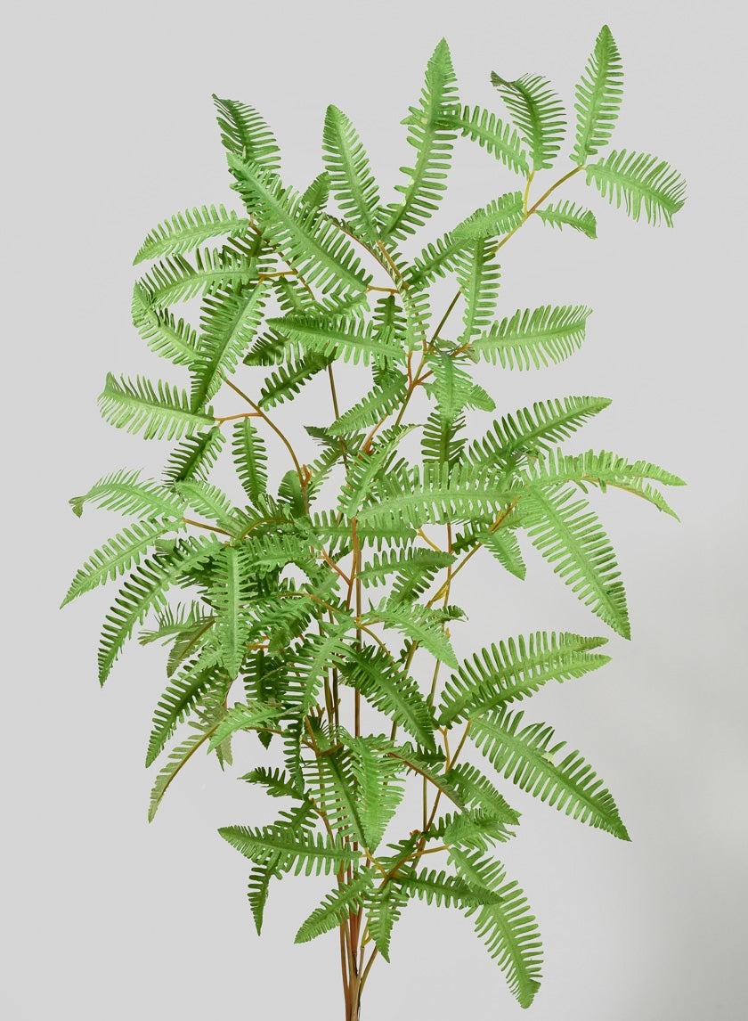 38 in Mimosa Leaf Branch