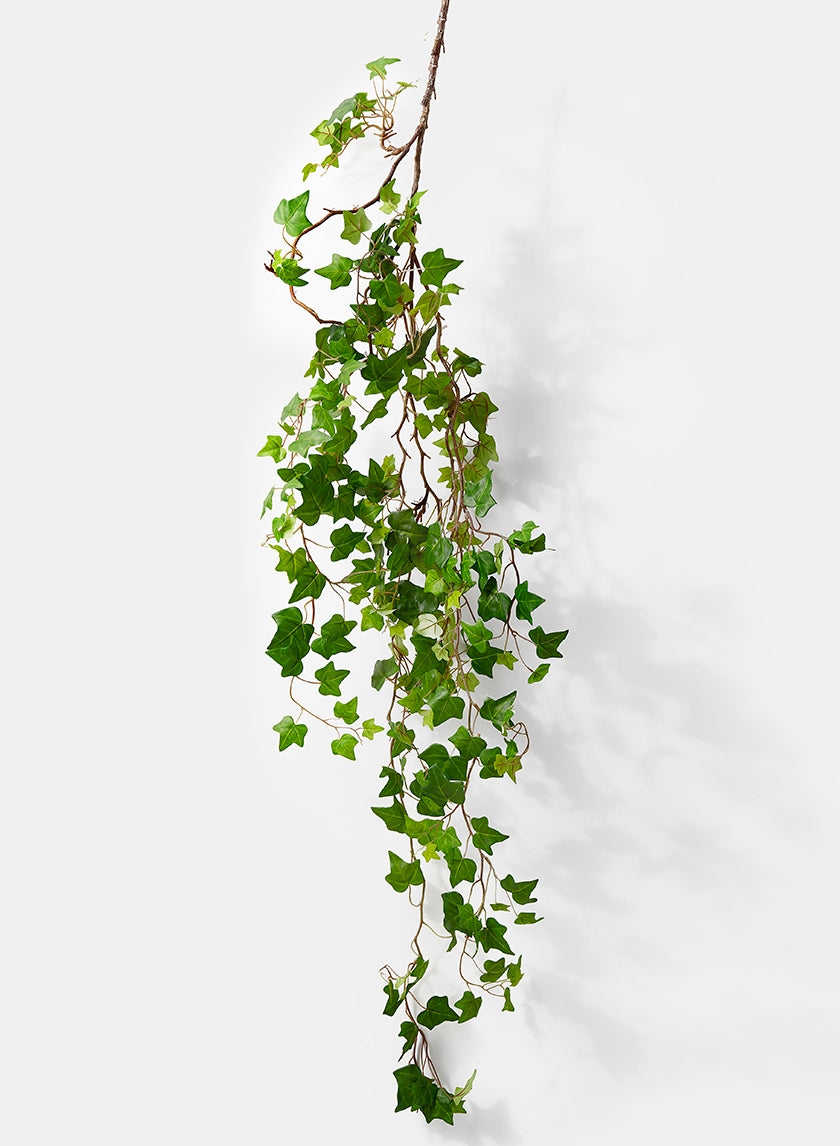 5 ft Green Ivy Vine