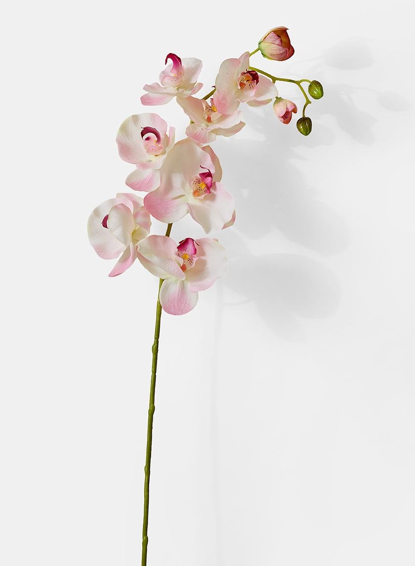 43 in Light Pink Phalaenopsis Orchid Spray