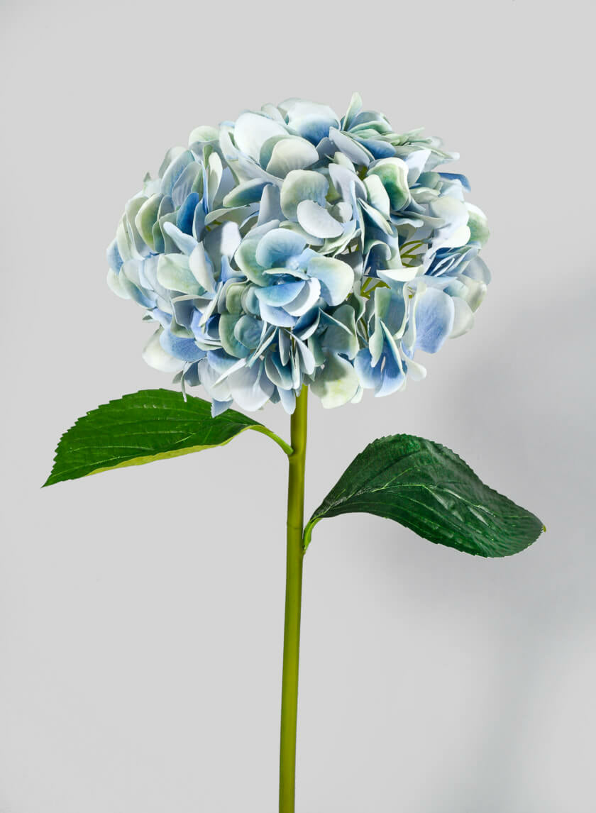 27 in Light Blue Hydrangea