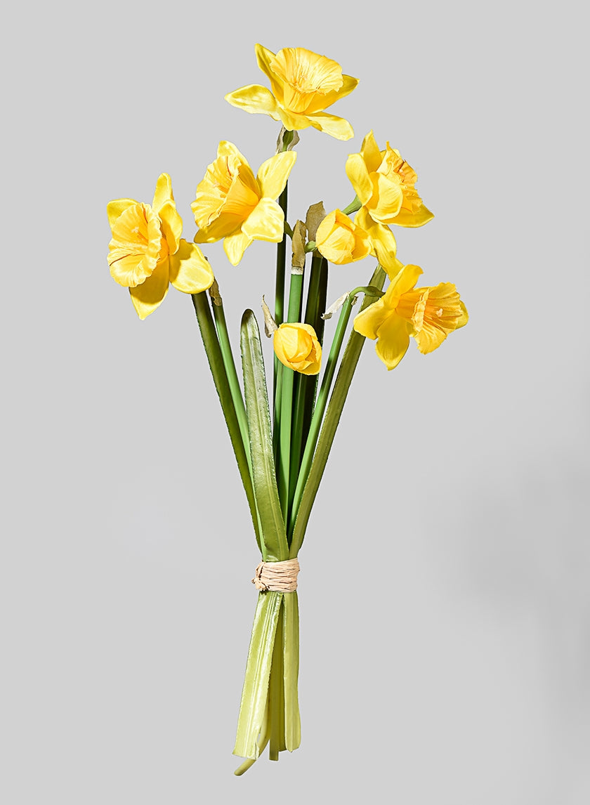 15 in Yellow Daffodil Bunch