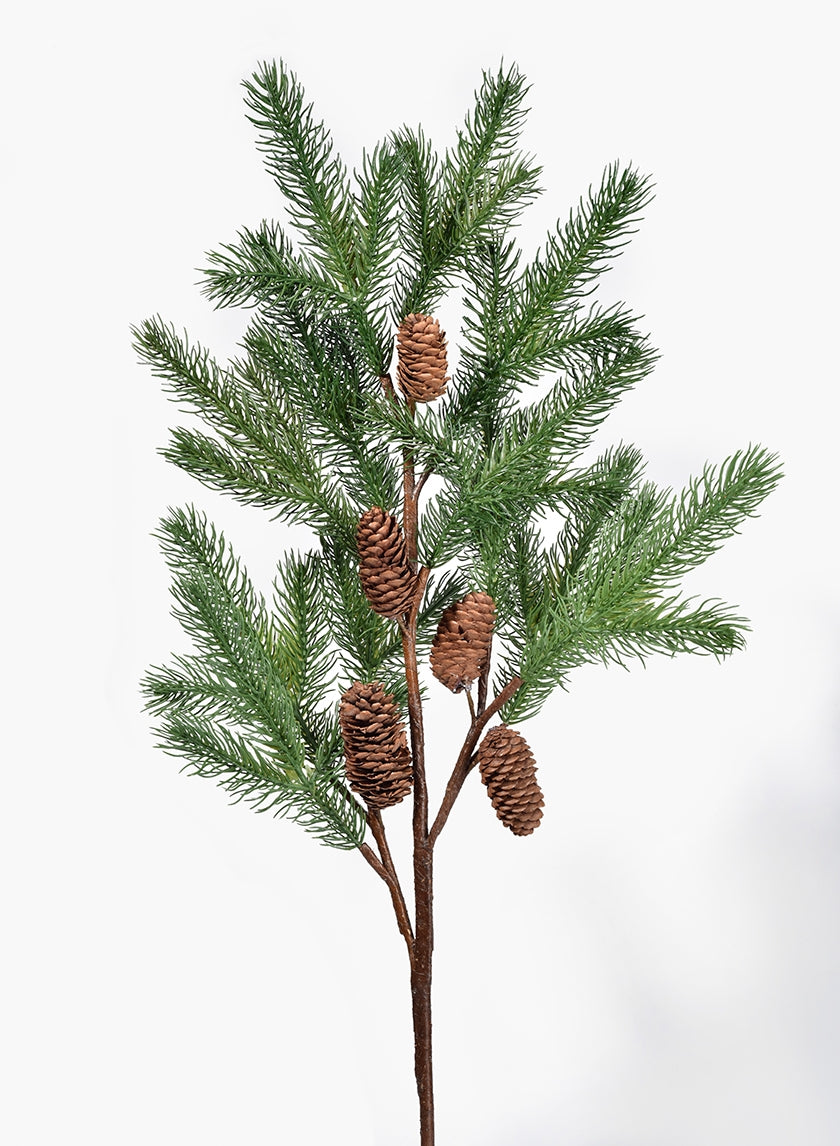 41 in Pine Branch With Pine Cones