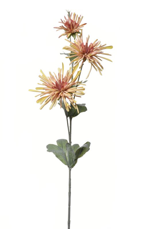 Chrysanthemum Spray