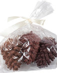 Medium Pinecone Christmas Ornament Set