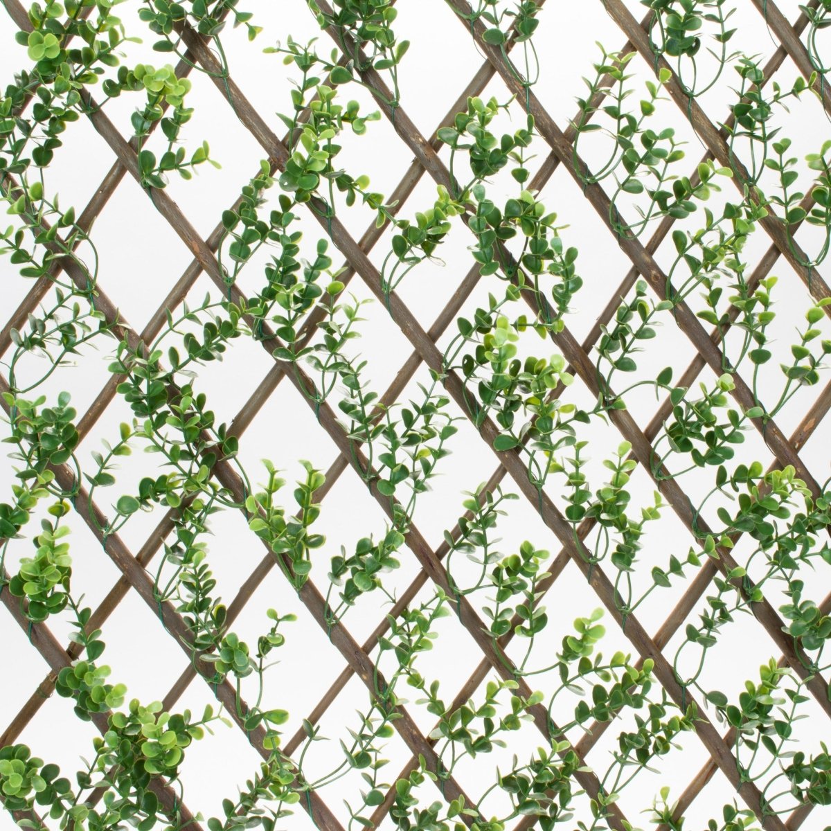 Faux Boxwood Willow Lattice Screen - 39 X 78"